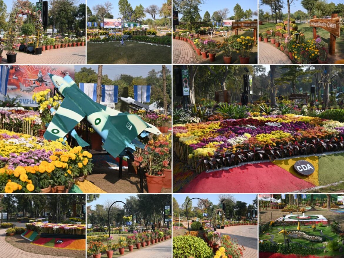Chrysanthemum and autumn flowers on display at CDA’s Gardenia Hub Exhibition in Islamabad